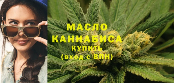 индика Абдулино