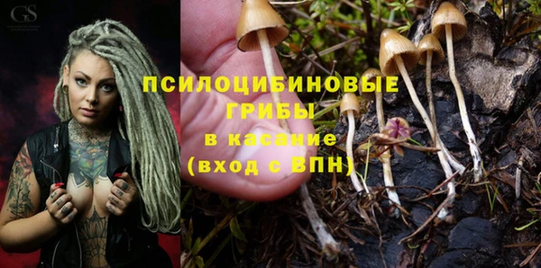 MESCALINE Абаза