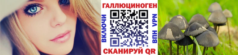Псилоцибиновые грибы GOLDEN TEACHER  купить  цена  Белый 